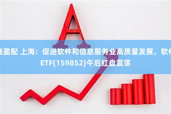 涨盈配 上海：促进软件和信息服务业高质量发展，软件ETF(159852)午后红盘震荡