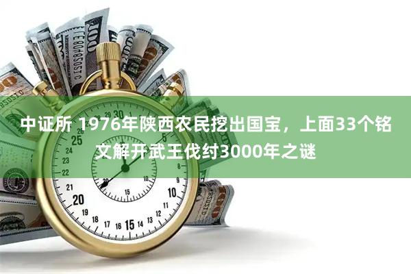 中证所 1976年陕西农民挖出国宝，上面33个铭文解开武王伐纣3000年之谜