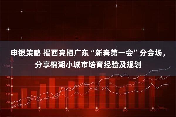 申银策略 揭西亮相广东“新春第一会”分会场，分享棉湖小城市培育经验及规划