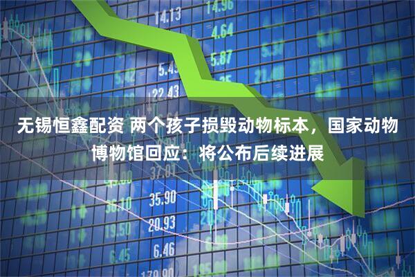 无锡恒鑫配资 两个孩子损毁动物标本，国家动物博物馆回应：将公布后续进展